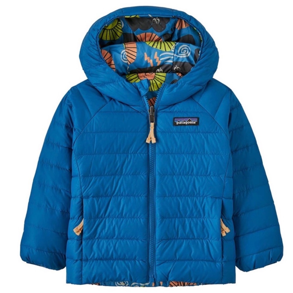 Patagonia reversible down hoody